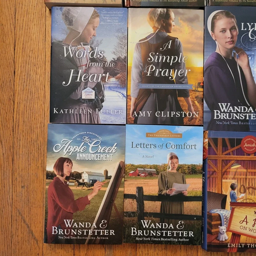 Wanda Brunstetter Linda Byler Fisher‎ 16 Amish Fiction Book Lot Gift Christian